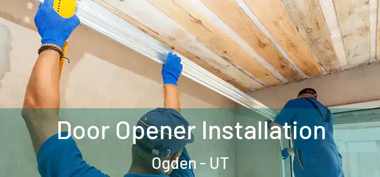  Door Opener Installation Ogden - UT
