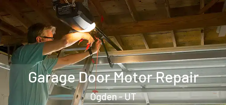 Garage Door Motor Repair Ogden - UT