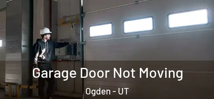  Garage Door Not Moving Ogden - UT