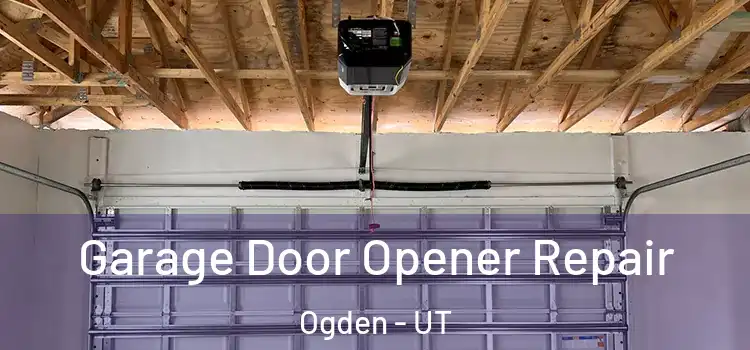  Garage Door Opener Repair Ogden - UT