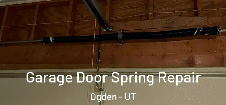  Garage Door Spring Repair Ogden - UT