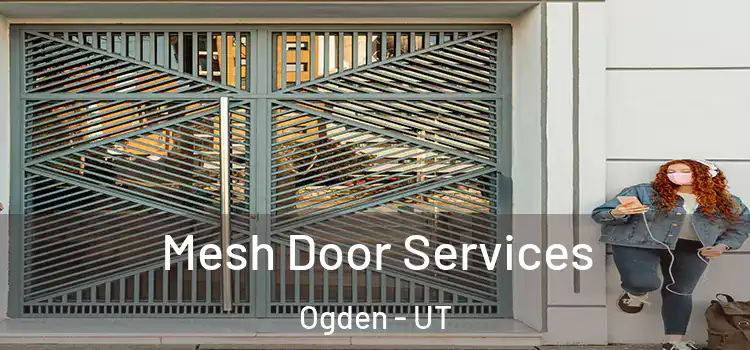Mesh Door Services Ogden - UT